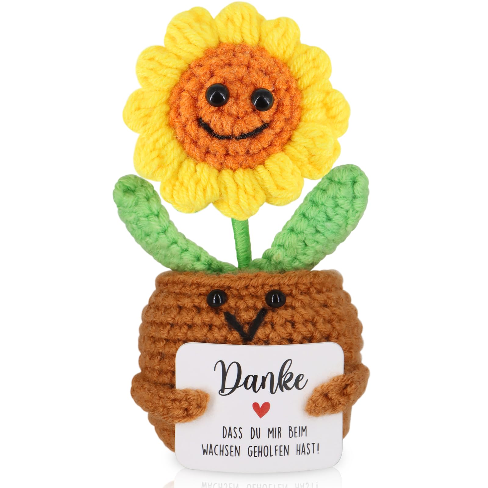 WenmthG Dankeschön Geschenke Danke Glücksbringer MutmacherGeschenk Gute Besserung Geschenk Einschulung Pocket Hug Positive Kartoffel Deutsch