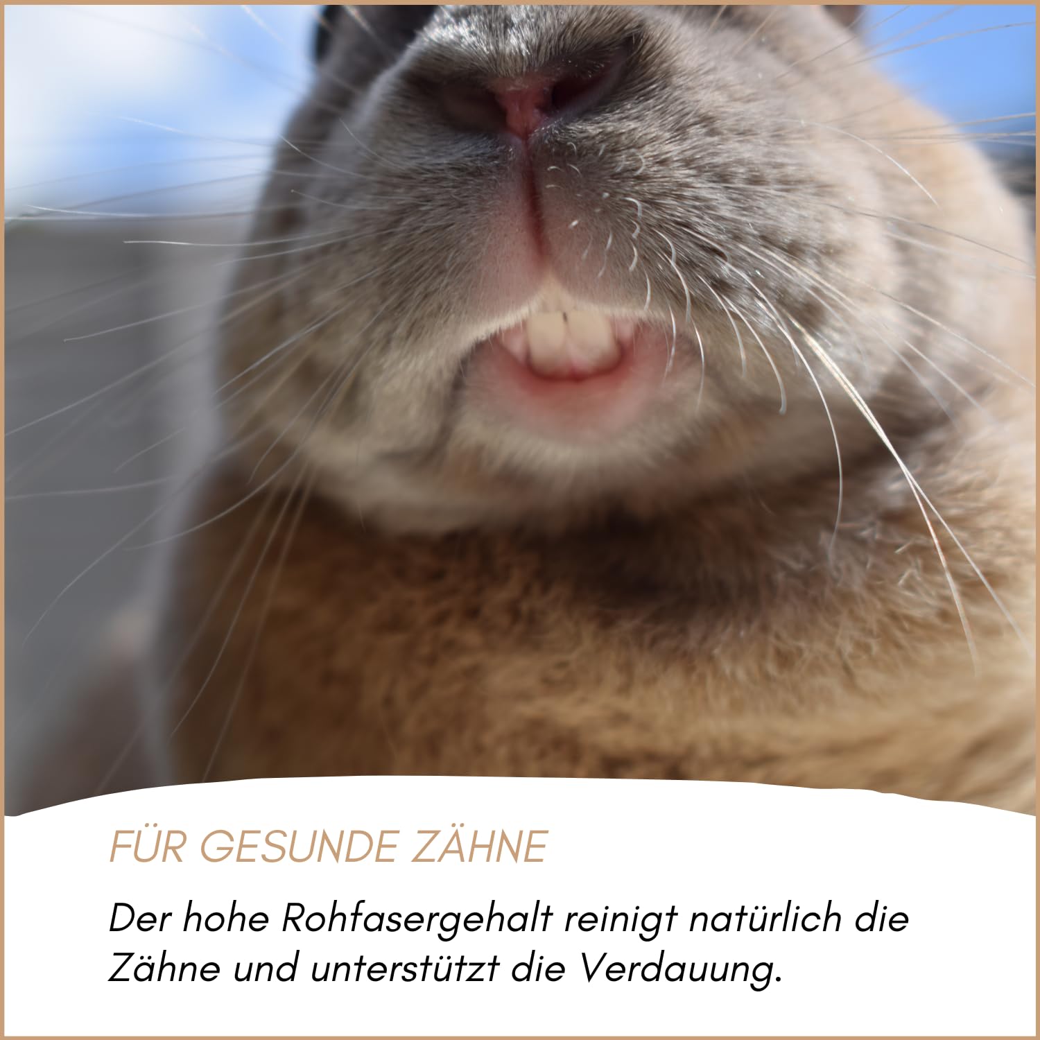 Supravit Nagerfutter I Kleintierfutter 25kg I Premium Futter | - Mischung ideal für Hamster, Kaninchen, Zwergkaninchen, Meerschweinchen, Mäuse & Ratten I Alleinfuttermittel für Nager