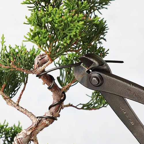 Miniatura 6 de Wazakura Alambre de entrenamiento para bonsái de aluminio anodizado negro de 5.29 oz fabricado en Japón (0.197 in, negro)