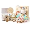 bopoobo Baby Shower Gifts for Boys,New Born Baby Gifts for Boys,Unique Baby Gifts Basket Essential Stuff,Gender Reveal Gifts,Blanket,Rattle,Lovey,Socks,Milestone