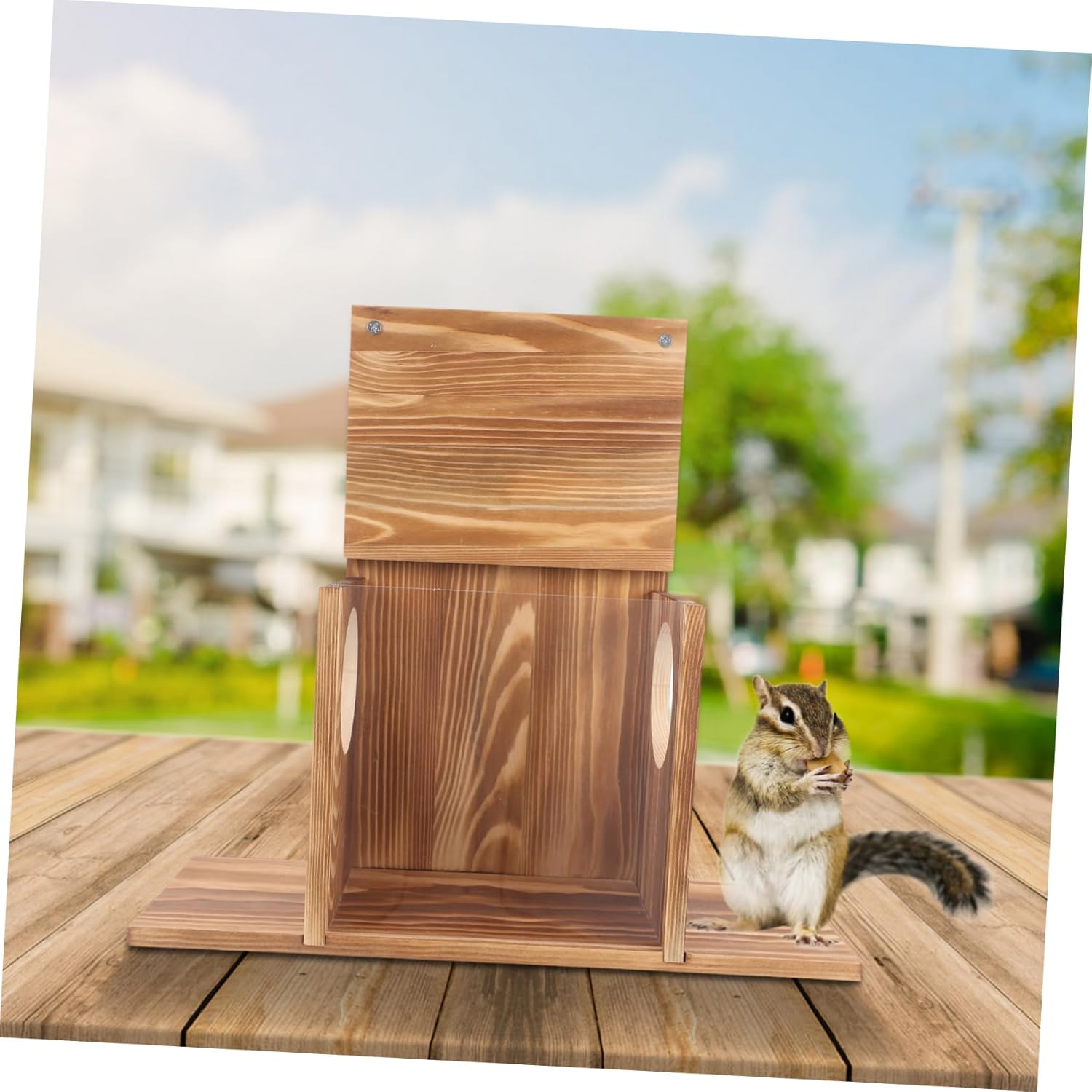 Outdoor Squirrel Feeder Storage Holder for Nuts and Corn Attractive Design to Attract Wildlife Your Garden Hanging Feeding Station for Squirrels and Birds