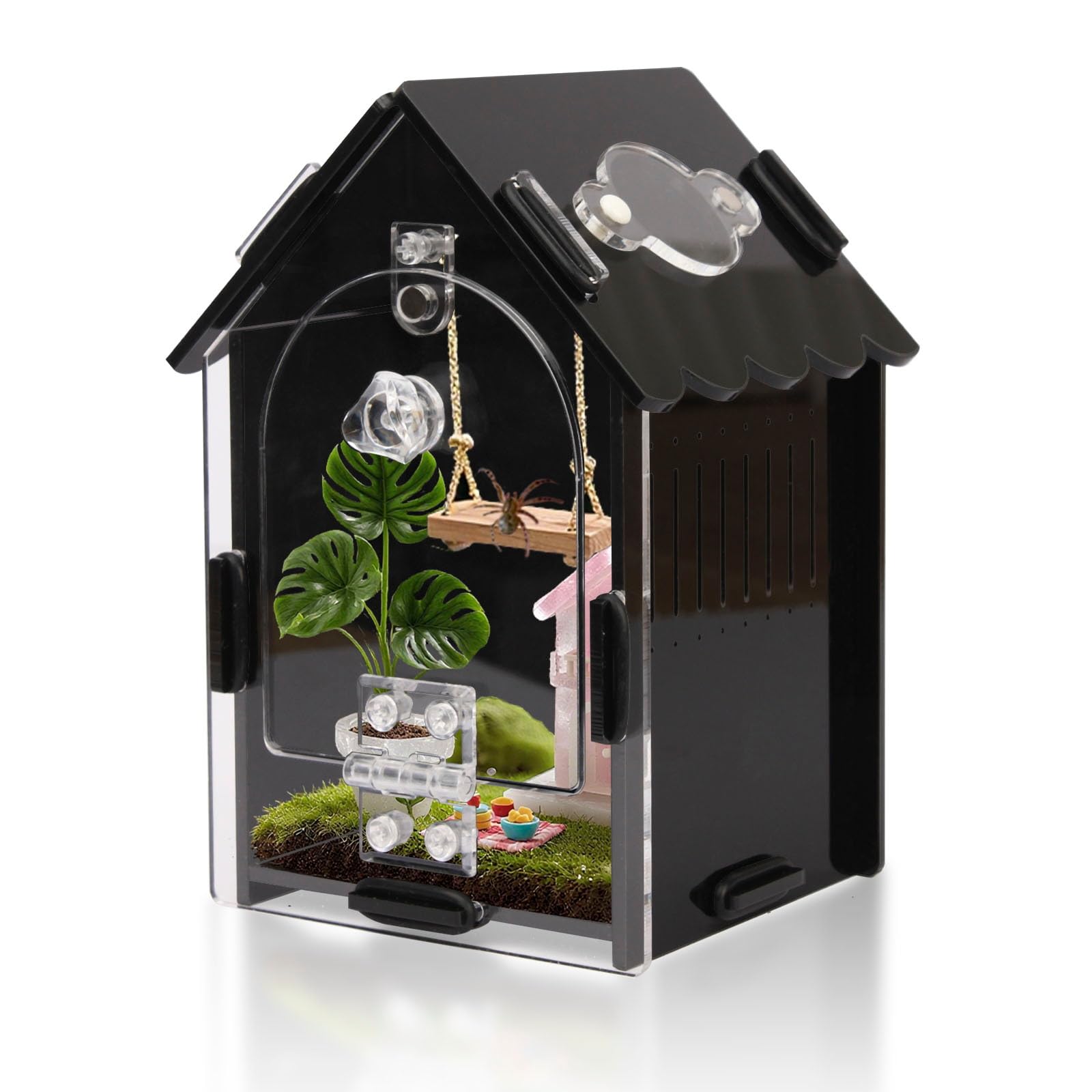 Jumping Spider Enclosure Kit, 3.15x3.15x5.6 Inch Acrylic Terrarium with Magnetic Lock &amp; Feeding Hole, Escape-Proof Mini Habitat for Tarantula, Mantis, Reptiles, Cricket Keeper