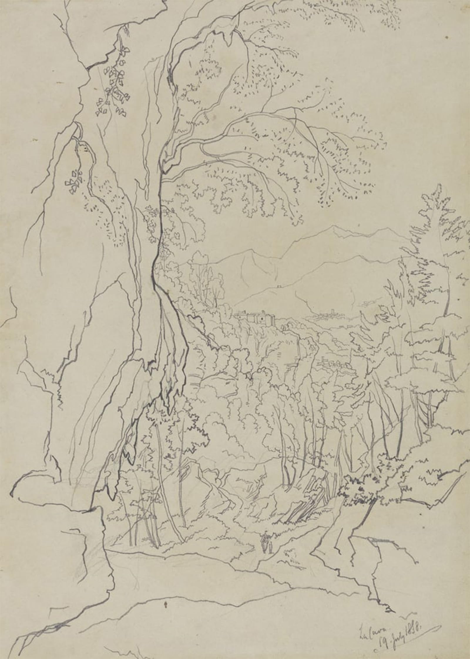 Tableau impression d'art Edward Lear pour une ambiance de salon chic - 5