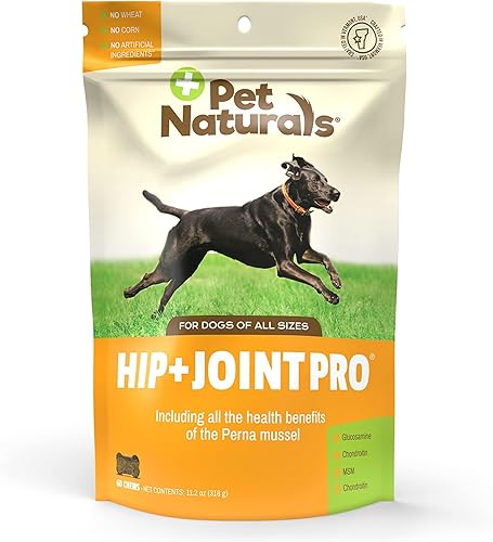 Pet Naturals Hip and Joint PRO con glucosamina, condroitina y MSM para perros, 60 masticables