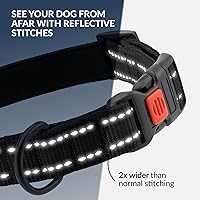 Vista 28 de CollarDirect Reflective Dog Collar for a Small, Medium, Large Dog or Puppy with a Quick Release Buckle - Boy and Girl - Nylon Suitable for Swimming