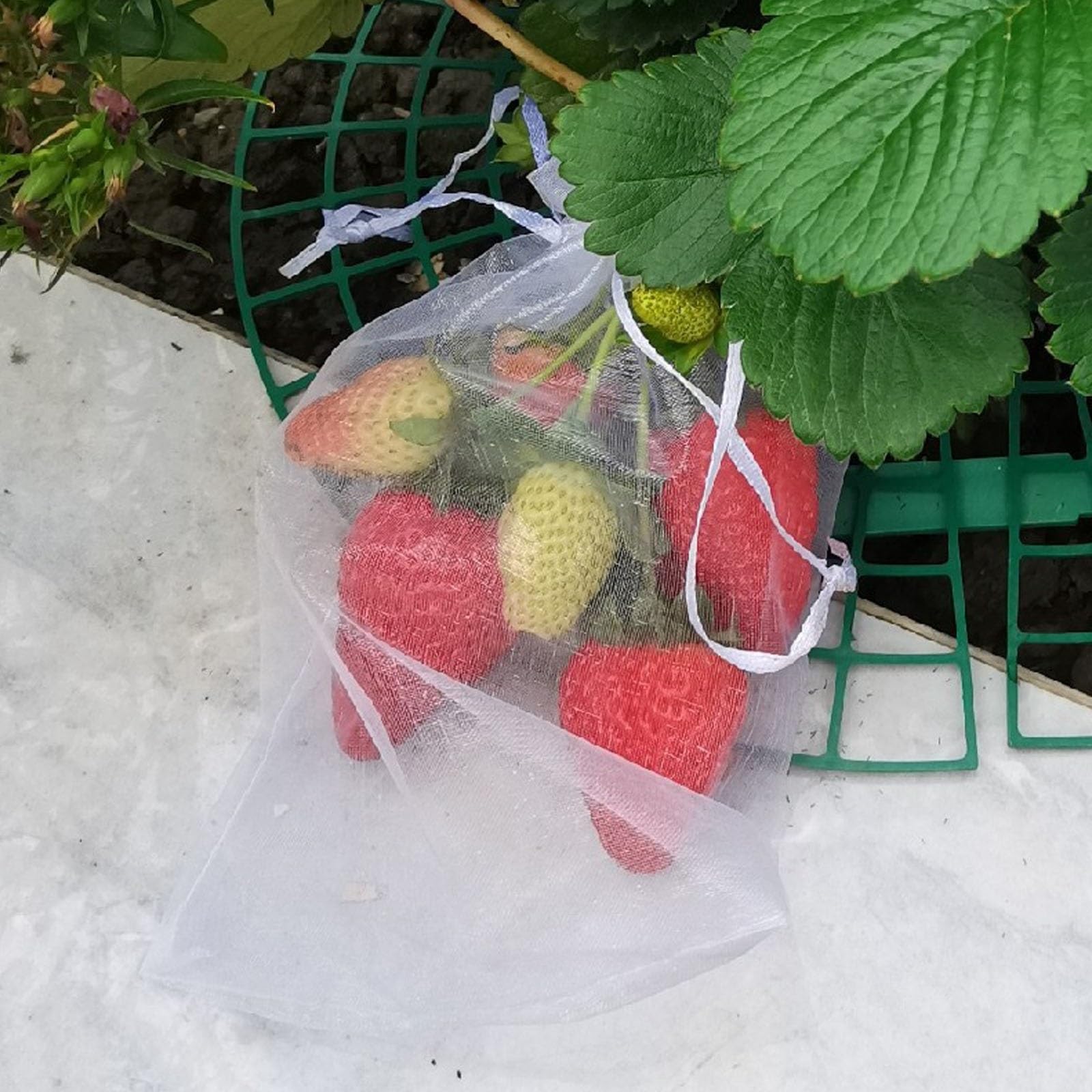 100 Sacs De Protection Pour Fruits En Organza – 15x20 Cm, Avec Cordon, Contre Guêpes, Oiseaux, Insectes (raisin, Tomate, Etc.) - 5