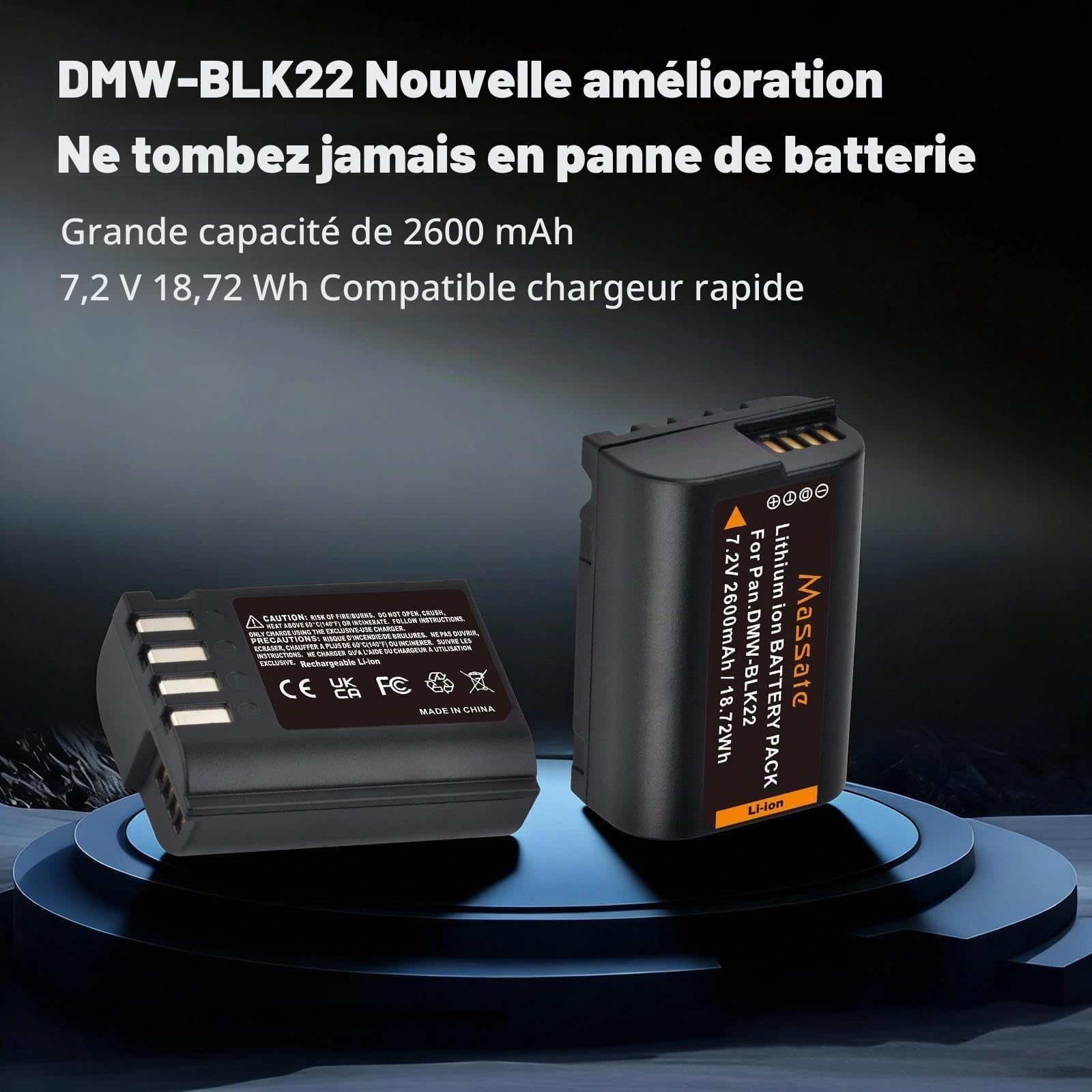 Lot de 2 batteries DMW-BLK22 2600 mAh + chargeur rapide LED PD20W - Charge complète en 2,5 heures - Batterie pour appareils photo Panasonic Lumix GH5, GH5 II, GH6, GH7, S5, S5 II, S5 IIX, S9