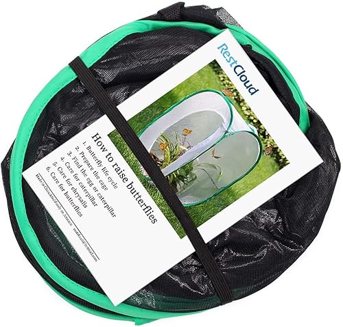 Miniatura 12 de RESTCLOUD - Jaula de hábitat para insectos y mariposas, 23.6 pulgadas de alto Blanco con verde