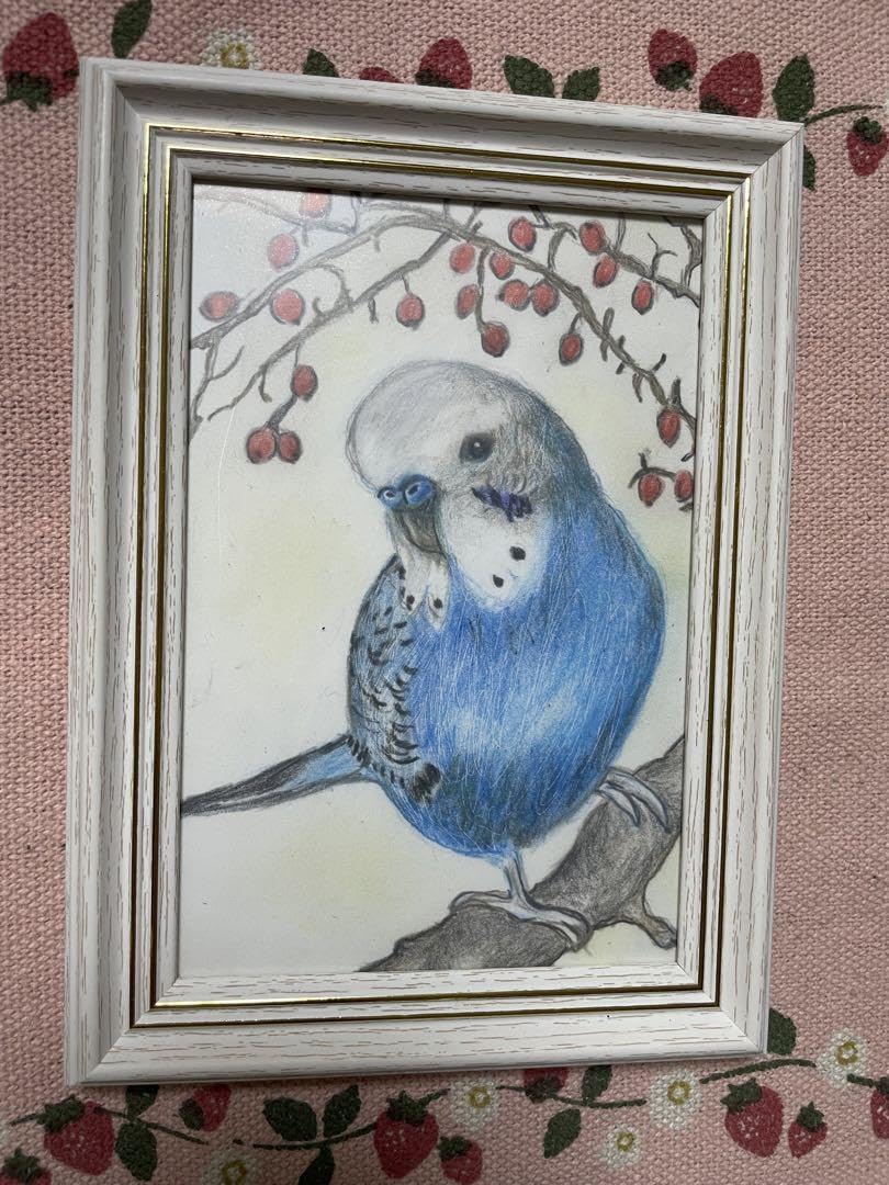 Amazon.co.jp: 色鉛筆画 リアル可愛いセキセイインコ色鉛筆画 原画