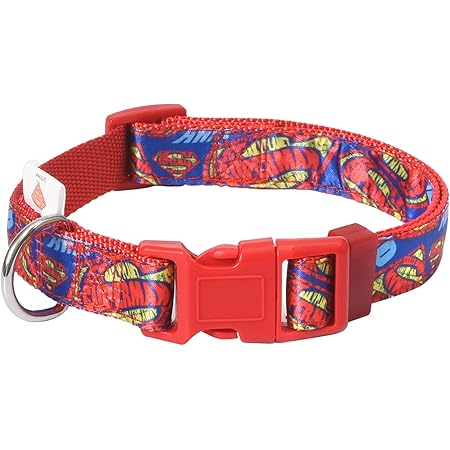cute red dog collar