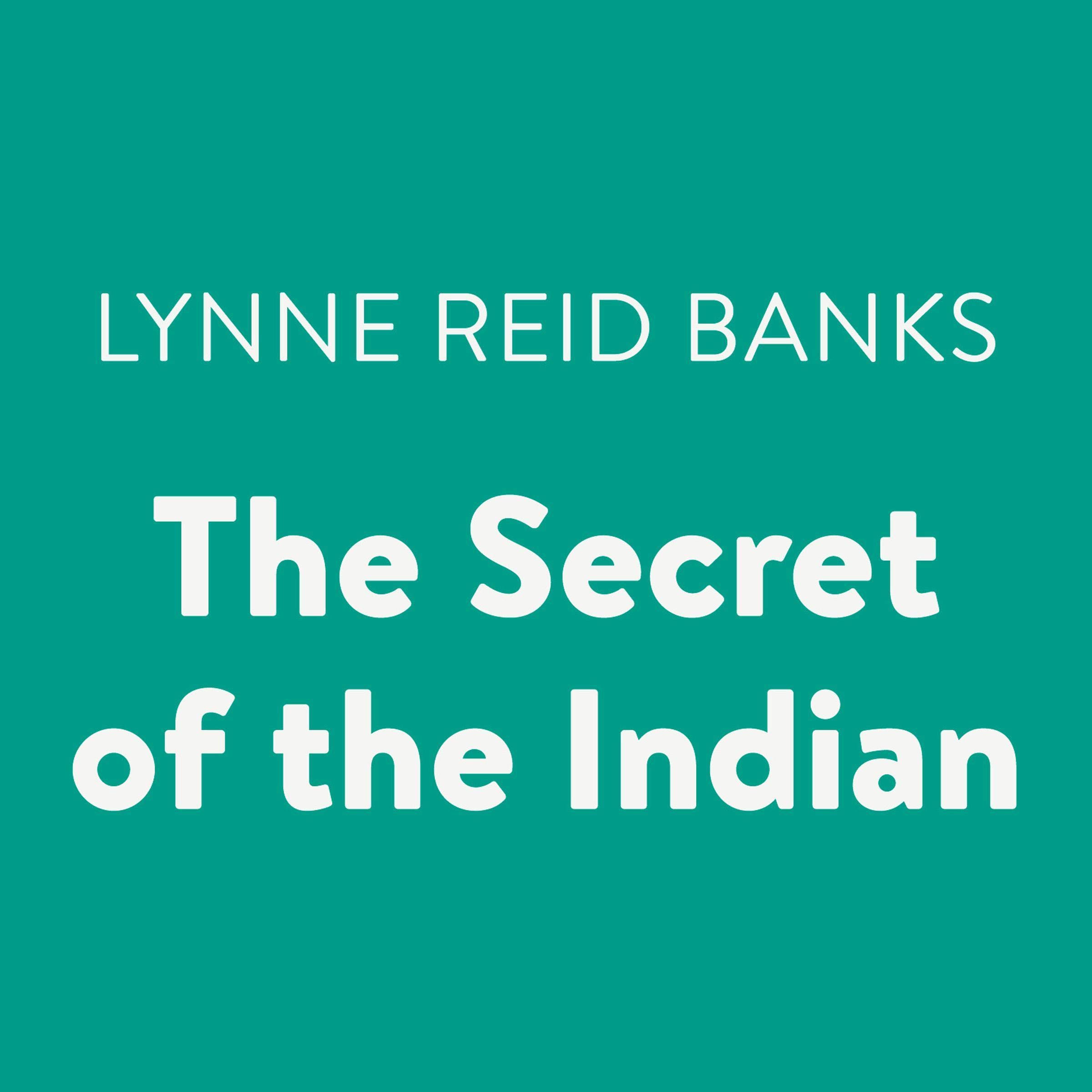 Cover art for The Secret of the Indian