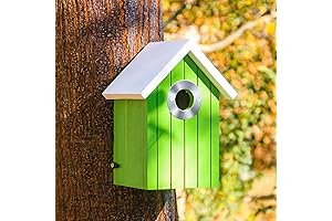 Cedar Bluebird House for Outside Decoration - Enhanced Backyard Sanctuary