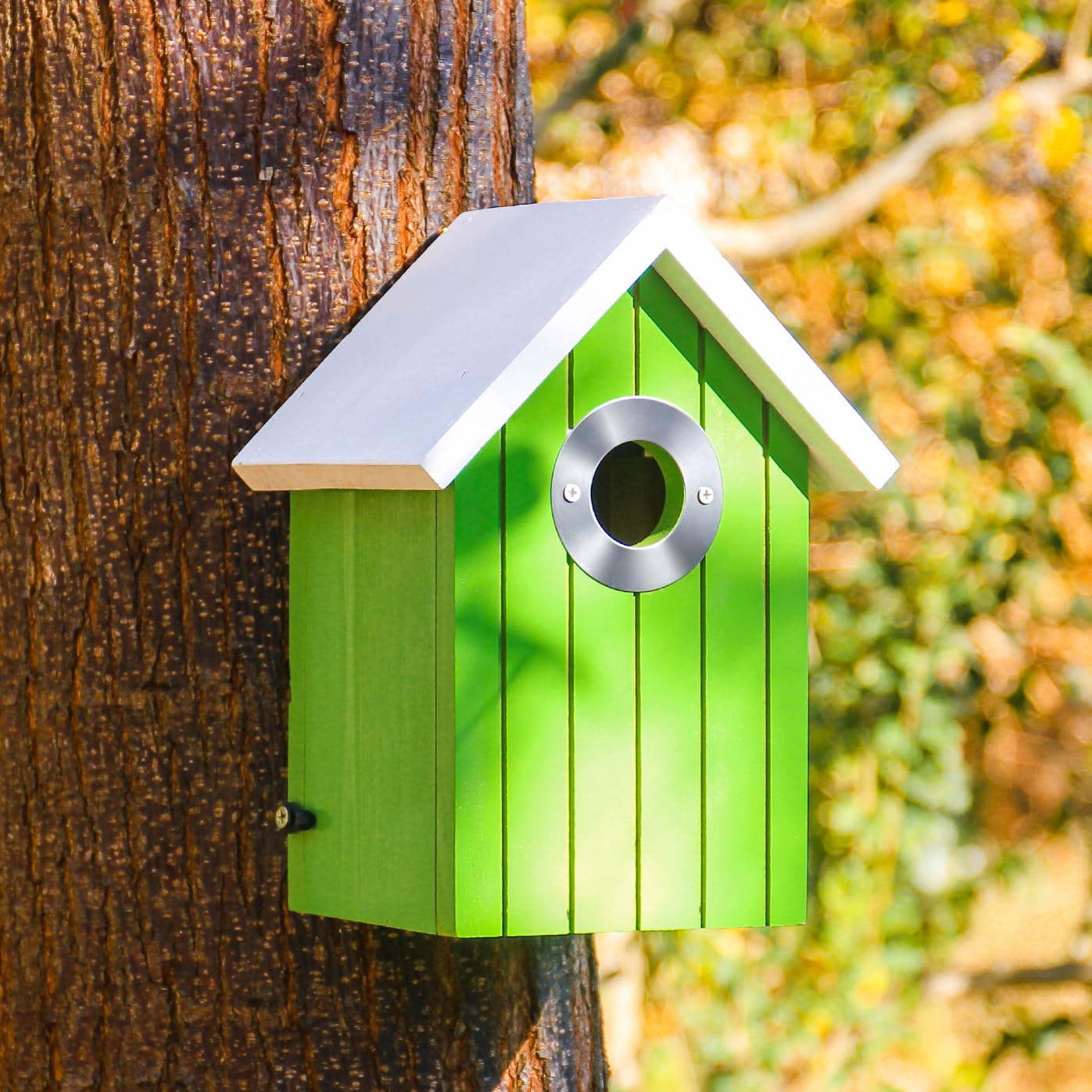 Snapklik.com : Cedar Bluebird House, Wooden Hanging Bird House For