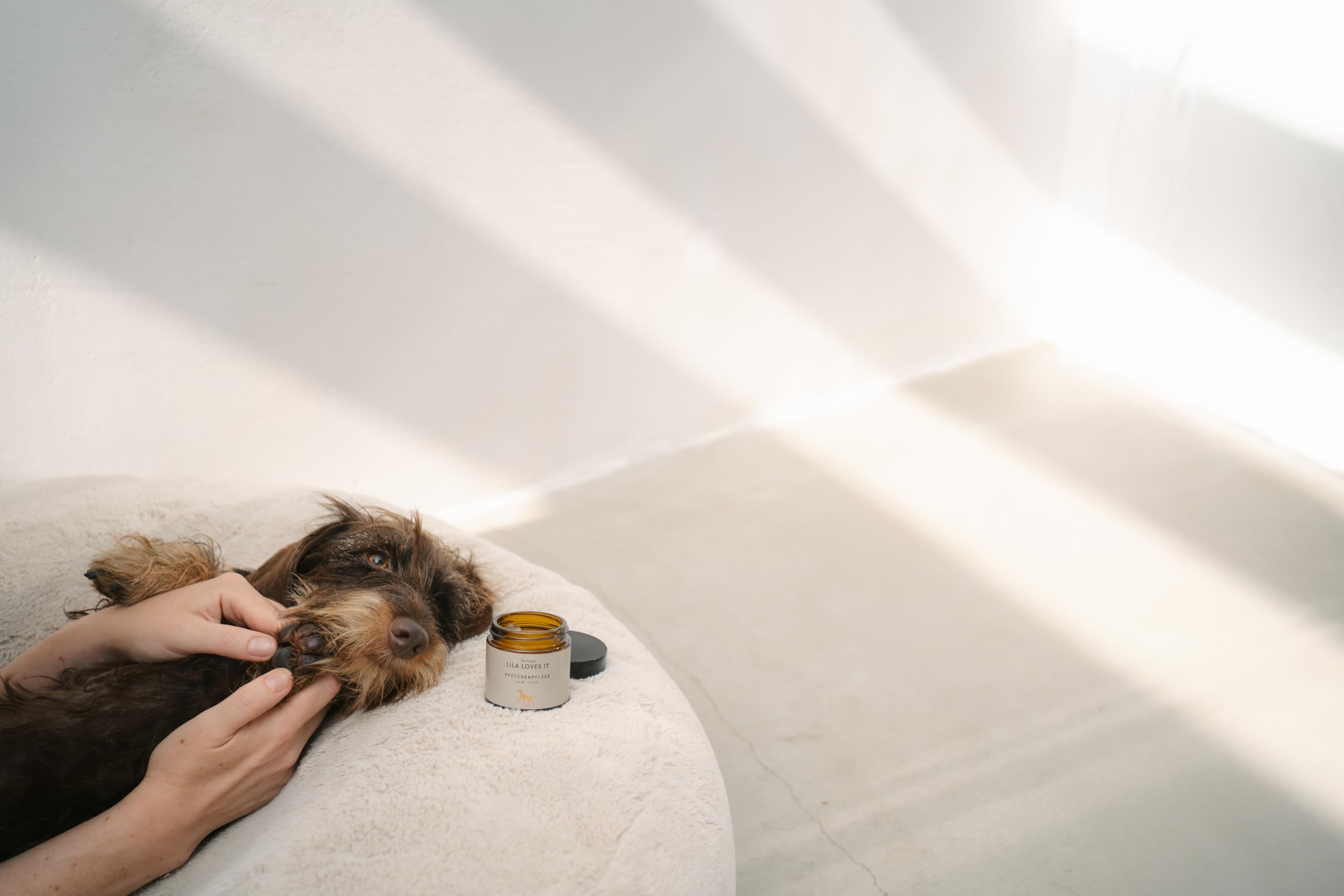 Pfotenbalsam für Hunde – mit natürlichen Inhaltsstoffen, beruhigt und schützt die Haut, stärkt die Widerstandskraft der Pfotenballen, PFÖTCHENPFLEGE von LILA LOVES IT, 60 ml