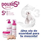 Ver la foto 6