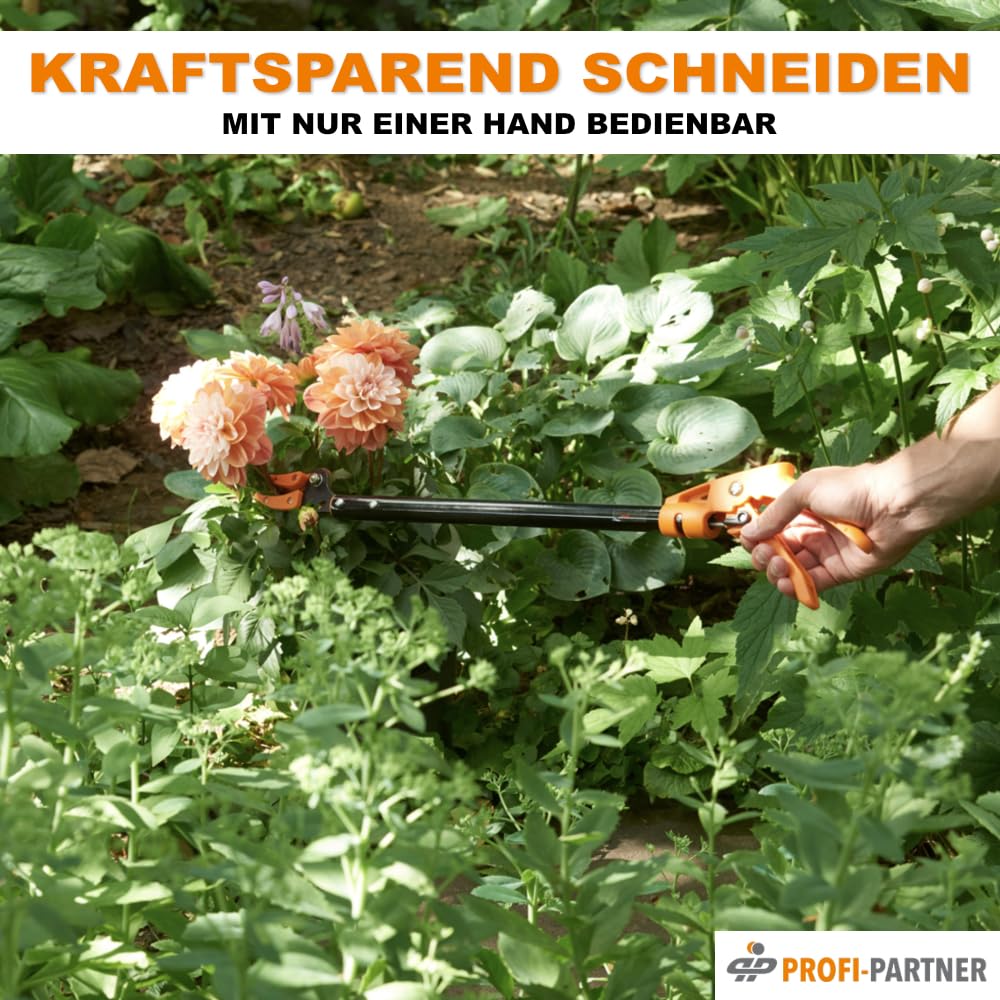 Langstiel Gartenschere, Astschere mit drehbarem Griff und Haltefunktion, Baumschere mit Titanium-Klinge, 65 cm lang