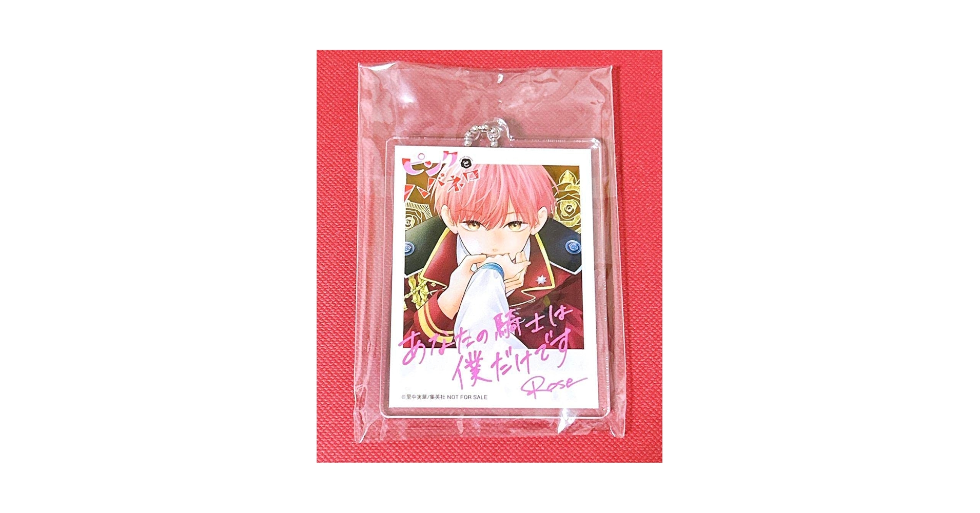 ピンクとハバネロ 2巻　応募 懸賞品 当選品 アクリルキーホルダー　黒瀬彗 ピンクとハバネロ 黒瀬彗 全身アクリルキーホルダー全プレ応募券