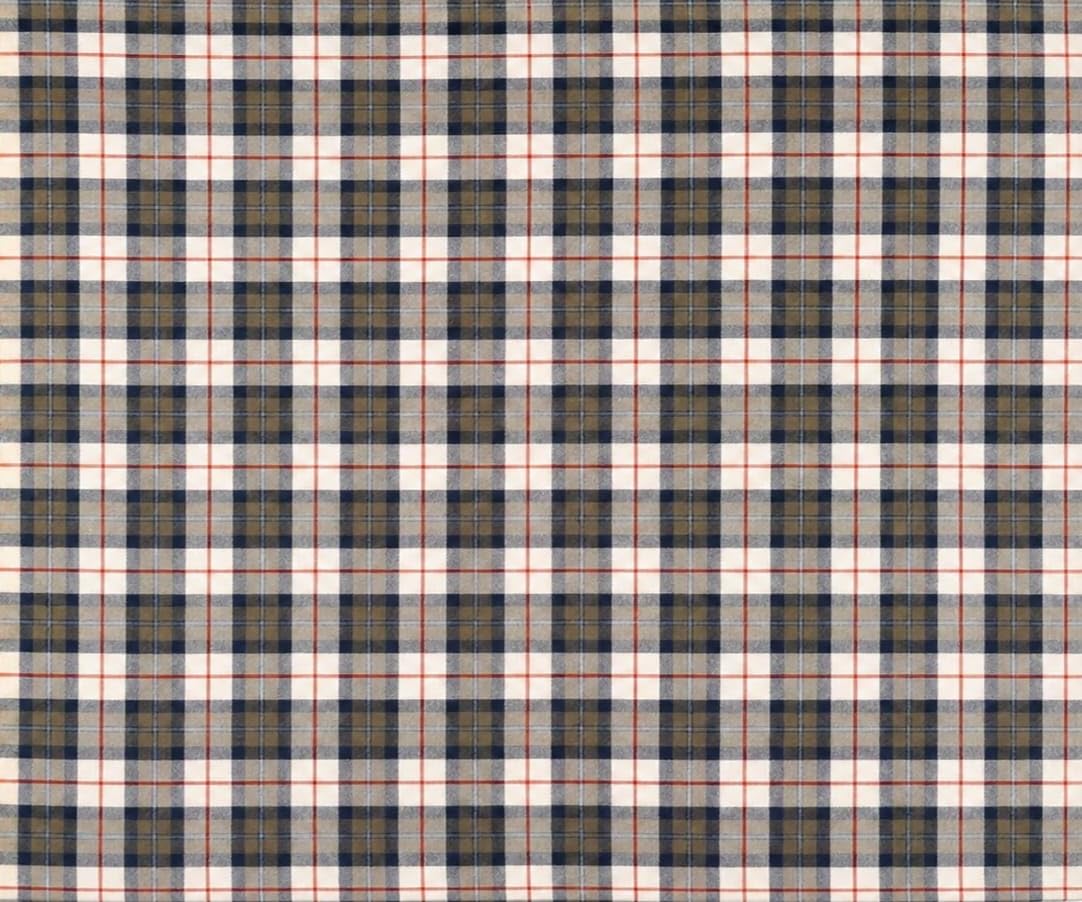 Cotton Blend Check Shirt Fabric, Multicolour, Unstitched, 2 Metre Length, 142 cm Width, Lightweight and Breathable-image-37