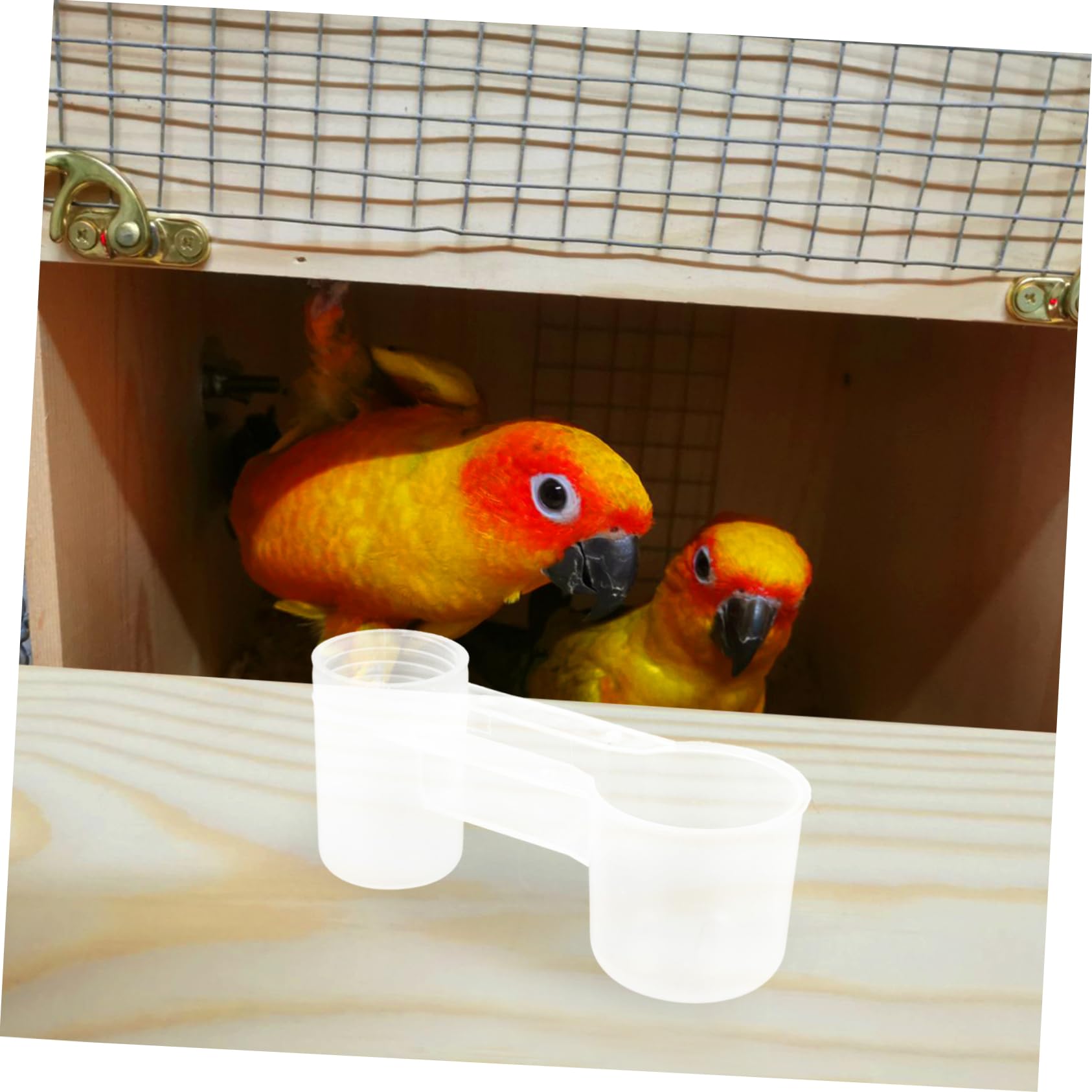 Kisangel Bevitore per Uccelli a Doppia Uscita 10 Pezzi in Plastica Bianco, Facile da Pulire e Resistente per Piccioni e Pappagalli in Negozio di Animali o Zoo