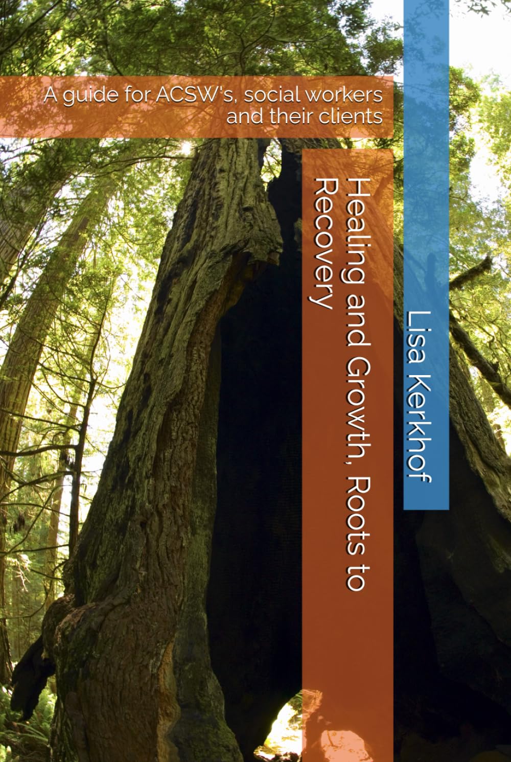 Healing and Growth, Roots to Recovery: A guide for ACSW's, social workers and their clients