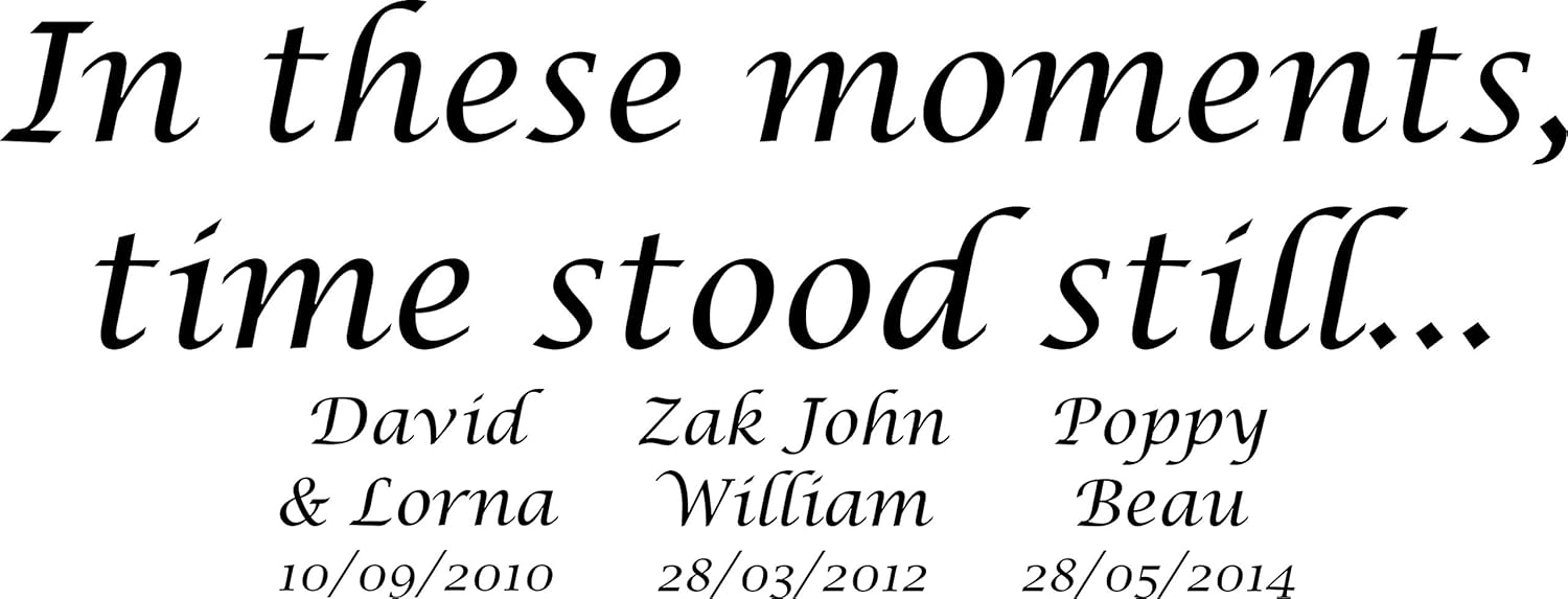 In These Moments Time Stood Still Wall Art Removable Vinyl Decals Quote Sticker Color Black