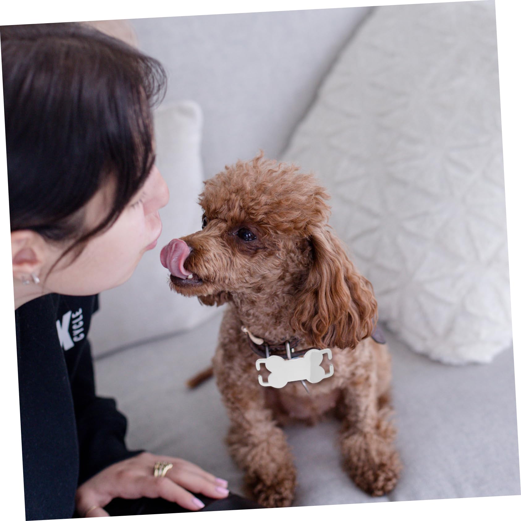 Happyyami 5 Juegos Etiqueta De Perro Mascota Etiquetas De Identificación Para Perros Etiquetas De Perro En Etiqueta De Nombre Del Collar De Perro Silver Acero Inoxidable 6 Piezas * 5