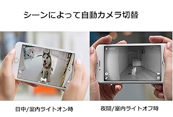 Amazon | Petcube(ペットキューブ) [正規代理店品] Petcube