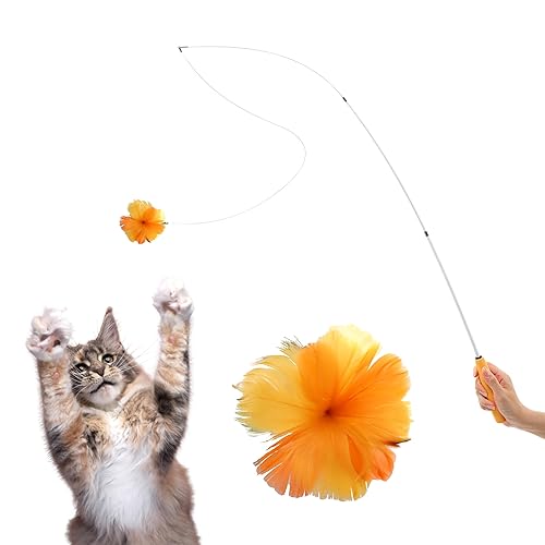 SHIMMURR Cat Feather Wand Toy - 38" Retractable Cat Wand Toy with Orange Feather Flower Teaser Refill for Indoor Cats and Interactive Play - Orange Feather Flower