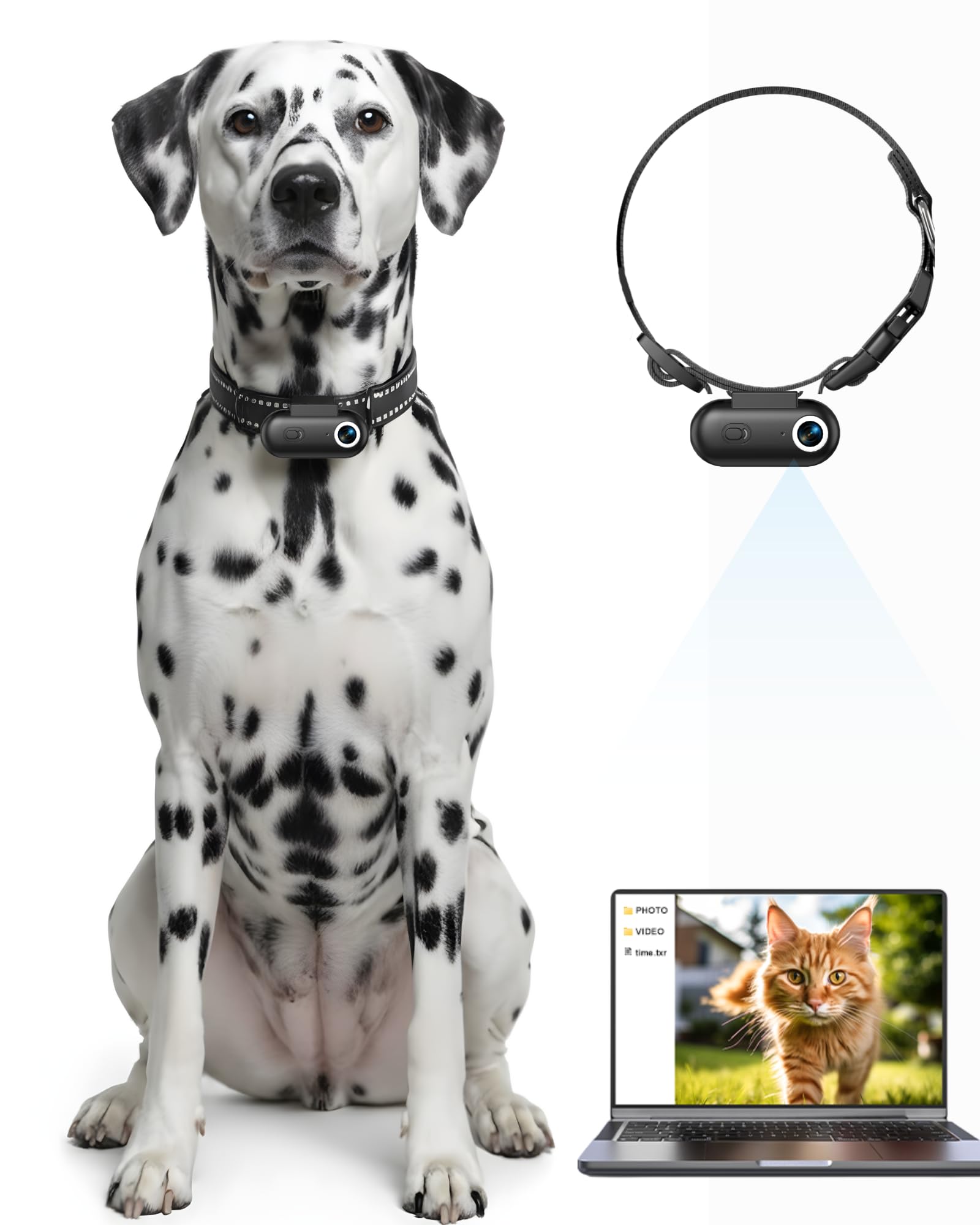 Collare per fotocamera per cani e gatti, 1080p HD registrazione video POV Cam per cani di taglia media e gatti grandi, taglia M, mini action camera ricaricabile con riproduzione USB su PC