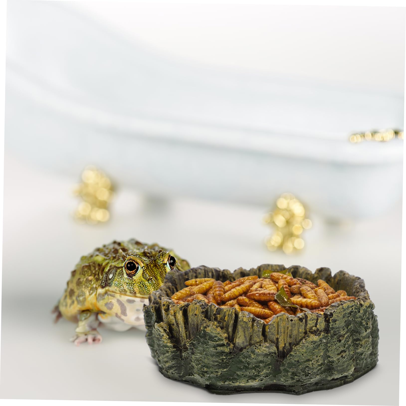 Toddmomy Reptile Feeding Dish Compact Water Bowl for Bearded Dragons Tortoises and Pets and Material for Easy Feeding and Drinking Experience