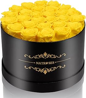 NATROSES Preserved Roses in a Box