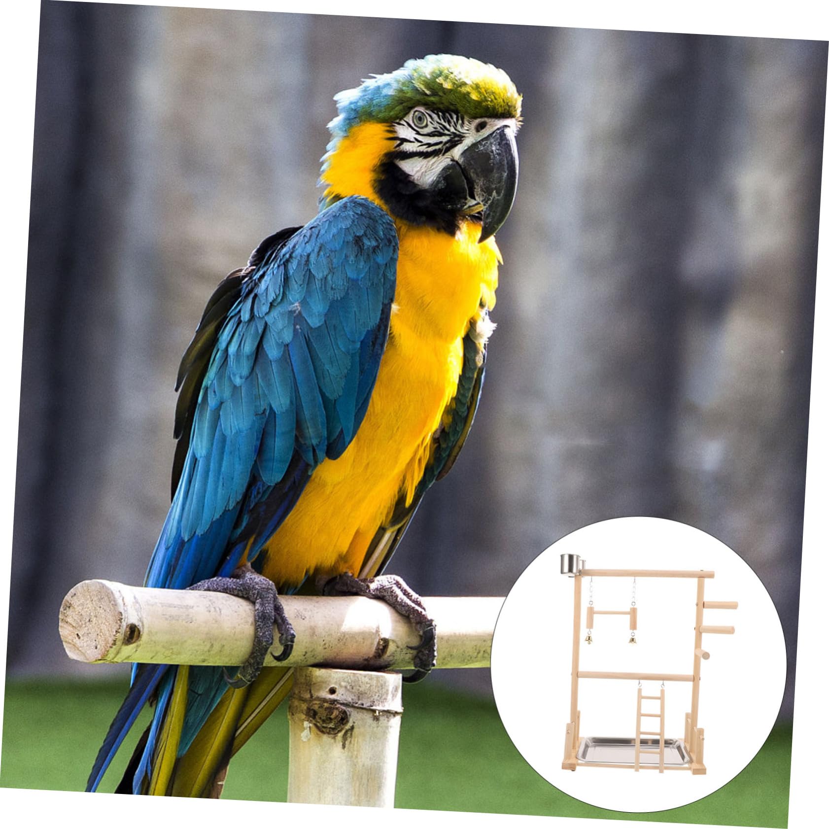 DOITOOL 1juego Soporte para Periquitos y Aves Área De Ejercicio Interactiva Comederos y Juguetes para Entrenamiento y Diversión De Mascotas