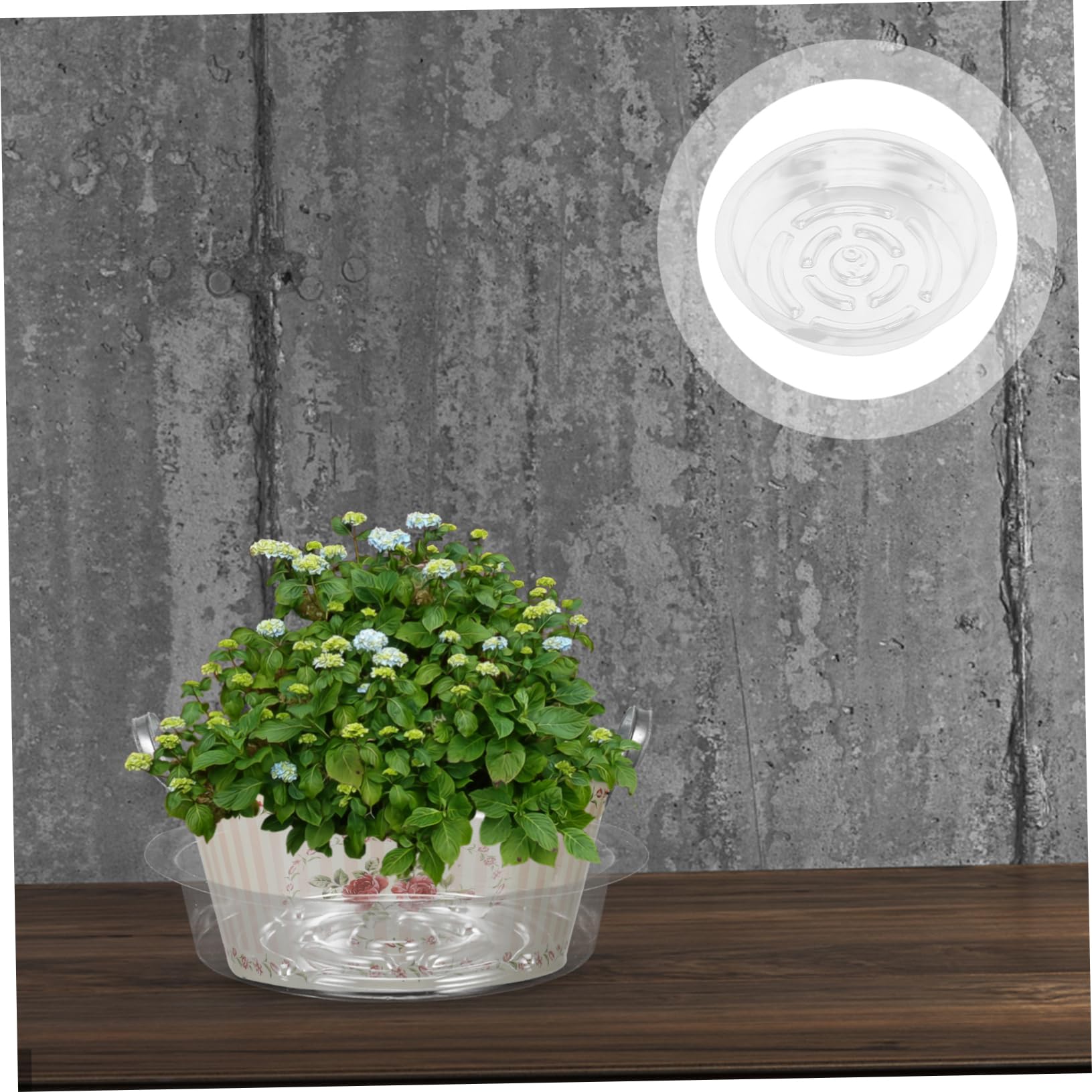 UPKOCH 3 Series Bandejas para Macetas De Plantas Platos Redondos Transparentes De Recogida De Agua Y Suelo para Jardín Y Interior 30 Piezas*3