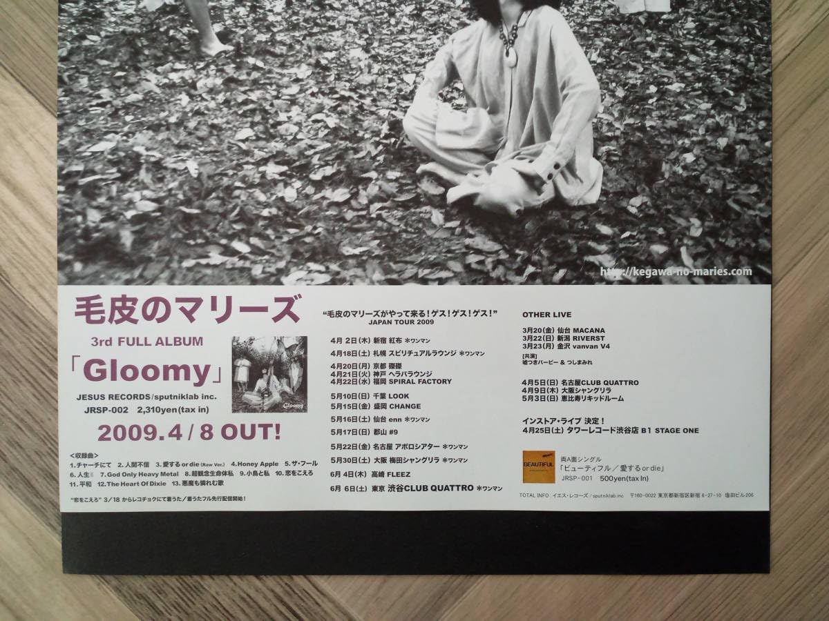 Amazon.co.jp: 毛皮のマリーズ『Gloomy』アルバム広告 簡単！入れる