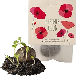 10x Drachen/Ritter Samenbomben - Bienenfreundliche Mitgebsel Für Kindergeburtstag & Ritterparty