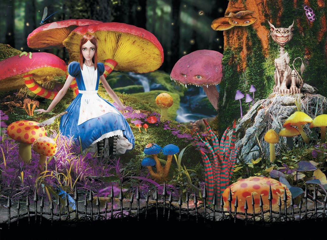Plastic Poster American McGees Alice 19x14 inch Waterproof - Anti-Fade - Can Use On Outdoor/Garden/Bathroom - 9PPCDA2