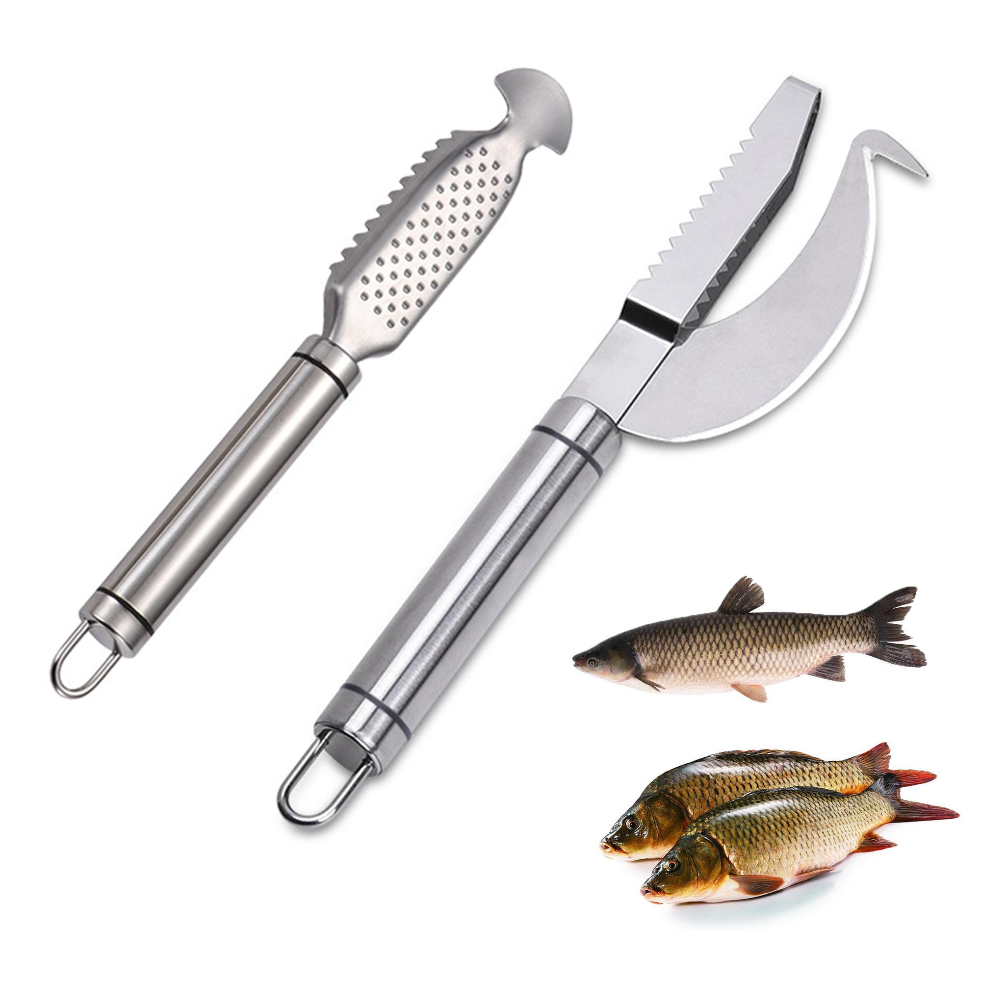 écailleur à Poisson GRATTOIR D'ÉCHELLE DE Dissolvant D'écailles De Poisson D 'acier Inoxydable EUR 12,59 - DE Ecailleur A Poisson