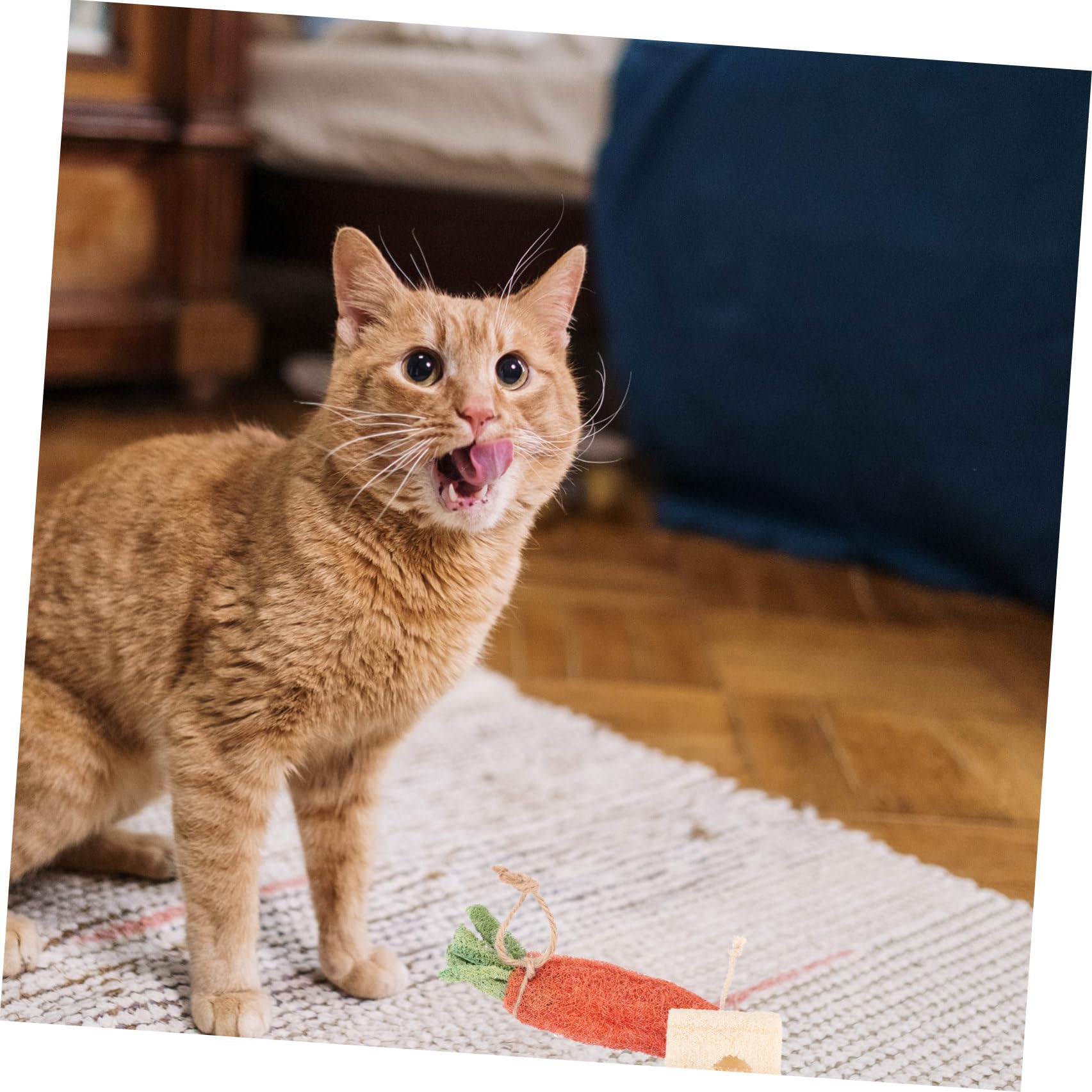 8 Pièces Mâcher pour Petits Animaux à Mâcher pour Hamster Accessoires Naturels pour Rongeurs Couleur Aléatoire