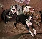 Review Image by Trust Me! Trust Me!