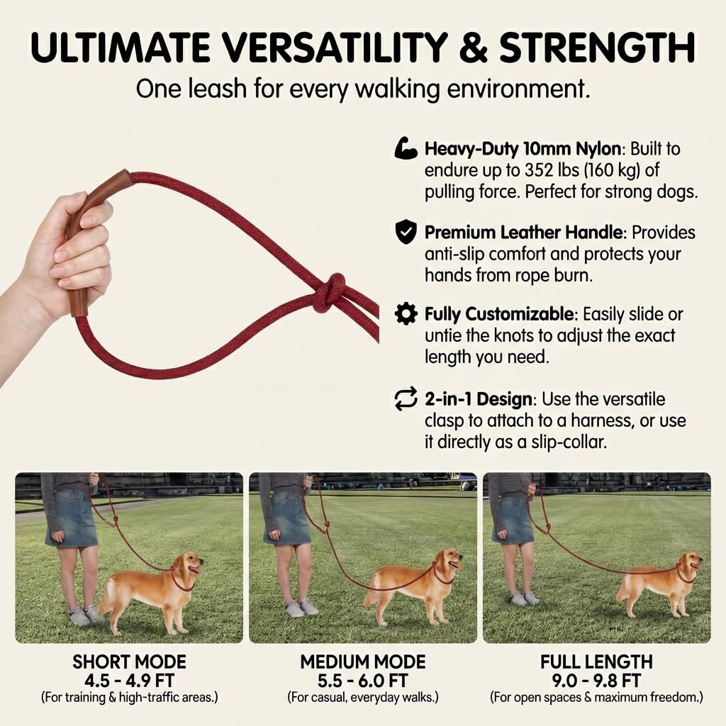 Tails & Tales Freihändige Hundeleine, Taillenleine für Spaziergänge mit dem Hund, Crossbody, multifunktional, Hundeleine, Laufen, Doppelleine für 2 Hunde, Doppelgriff, Hundetraining, Weingut Rot