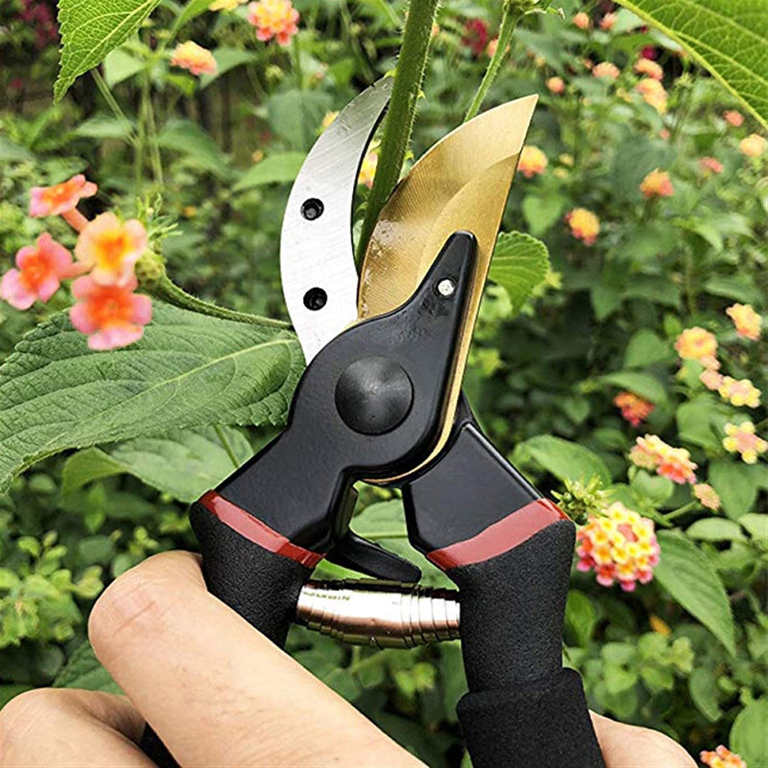 Herramientas de poda de jardín Tijeras de podar de jardín Tijeras de podar Tijeras de podar manuales de derivación profesional Tijeras de podar Tijeras de podar de jardín Adecuadas para jardines,