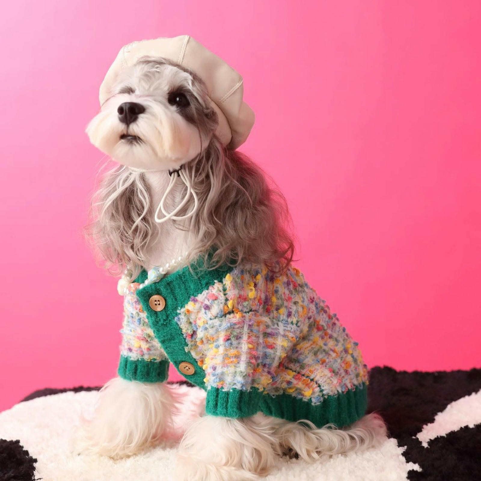 Pulls pour Petits Chiens Filles garçons élégant Luxe Chiot Pull Chaud Tricot Chien noël Pull Automne Hiver Chien Manteau Animal Pull