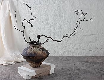 71JggOI1rFL._AC_UF350,