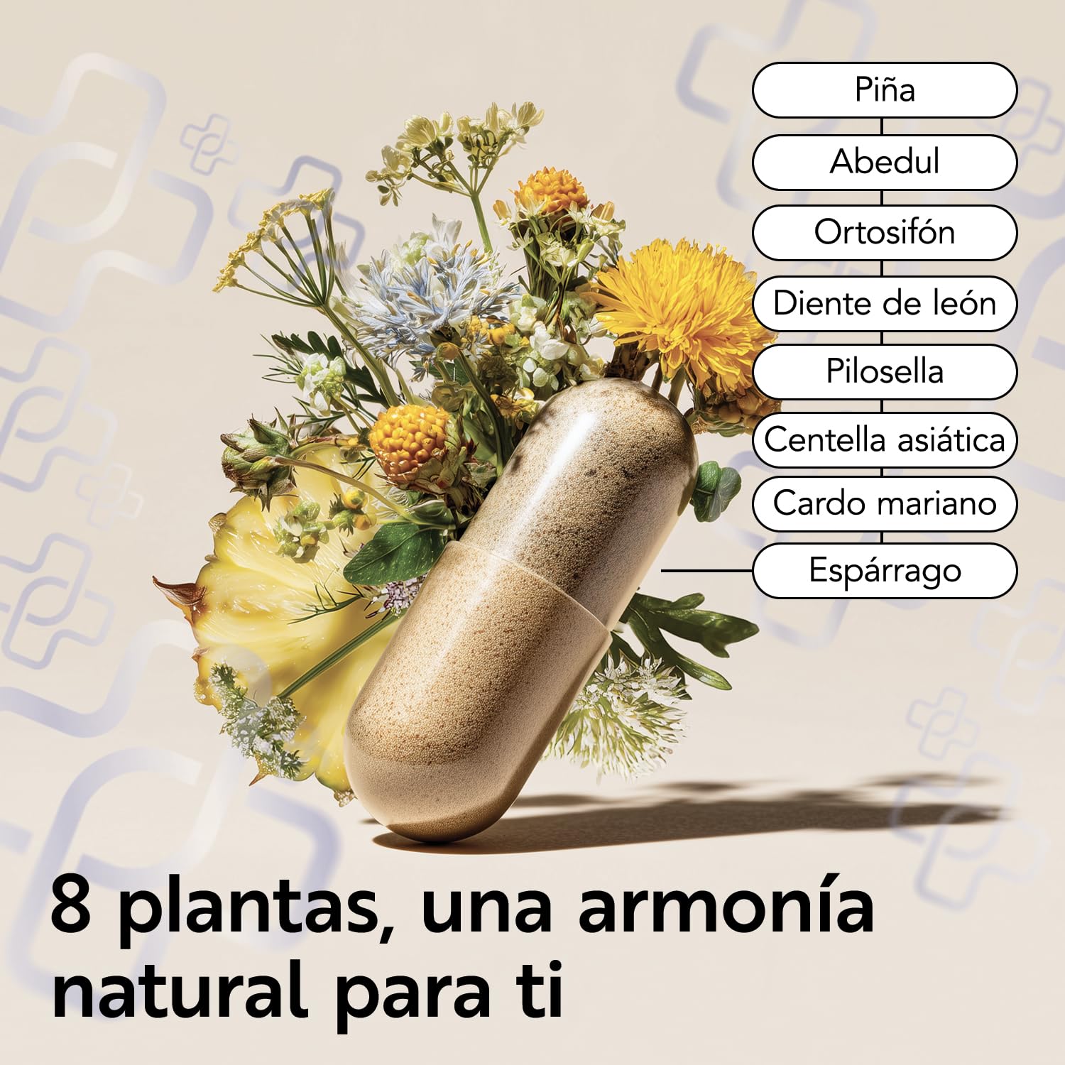 Detox Depurativo, Drenante Retencion De Liquidos 240 Cápsulas PiùLife, Diuretico Con Extractos Vegetales Bromelina, Centella Asiatica, Abedul, Ortosifón, Diente de León, Pilosella, Cardo Mariano