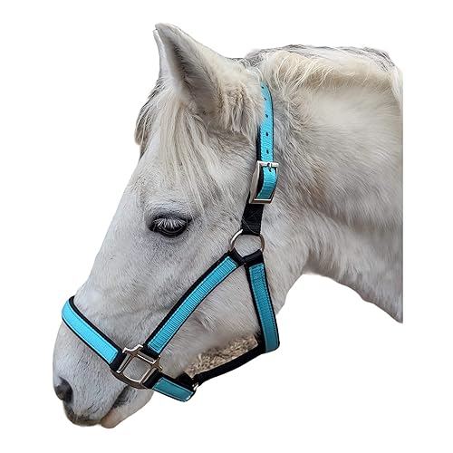 Miniatura 3 de All Sizes Horse Halter, Foal to Draft Size 3 Ply Alabama Handmade (Draft, Blue)