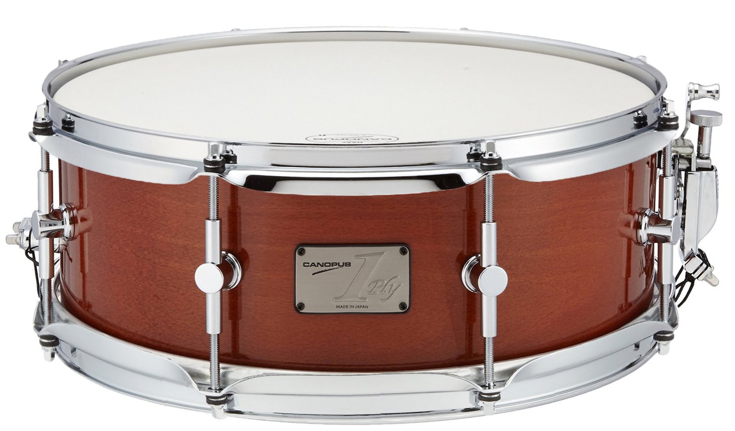 Amazon | CANOPUS カノウプス ビーチ単板スネアドラム SSBE-1455  