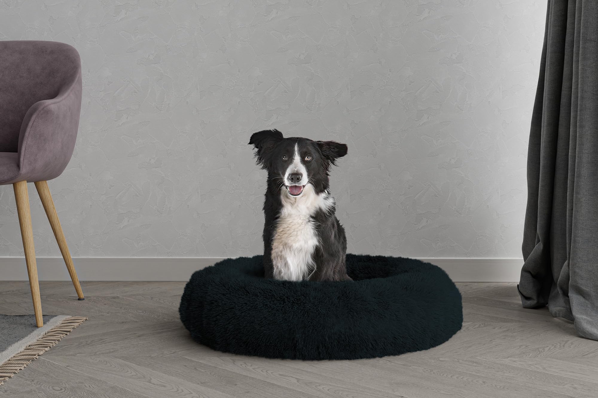 DREAMS Pet Bed Dreams and Caprices Pets, Soft Polyester, Petroleum, 70 x 70 cm