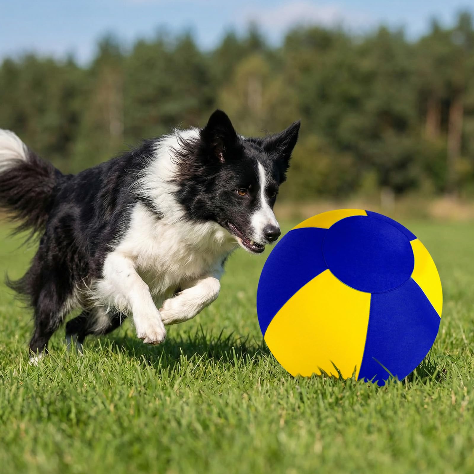 Palla da pastore cani con copertura protettiva e giocattolo per addestramento del cane con pompa per pastore border collie, addestramento all'aperto e gioco in cortile (55 cm giallo blu)