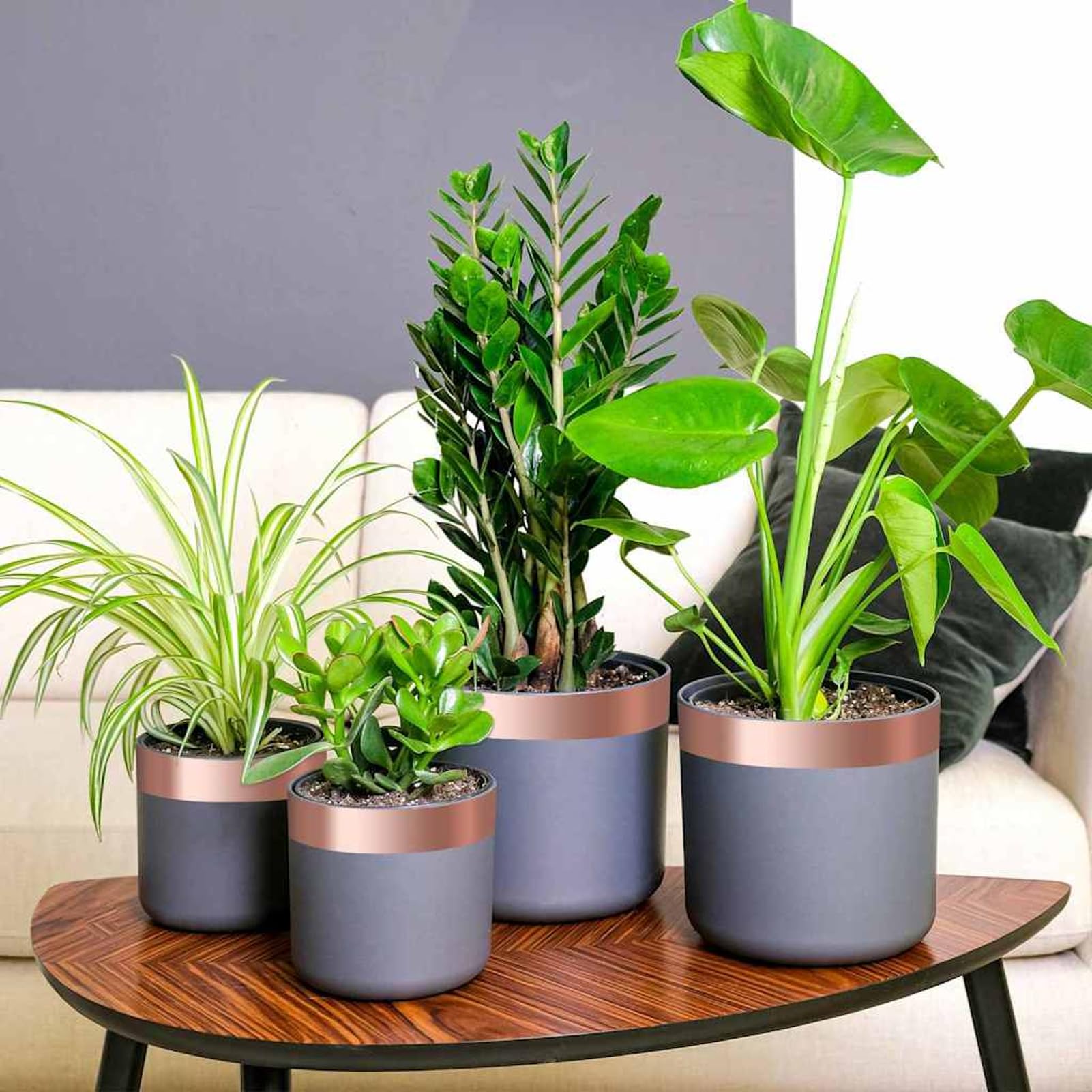 Gecheer Cinta de Cobre 6 pcs Cobre 2000 x 5 cm
