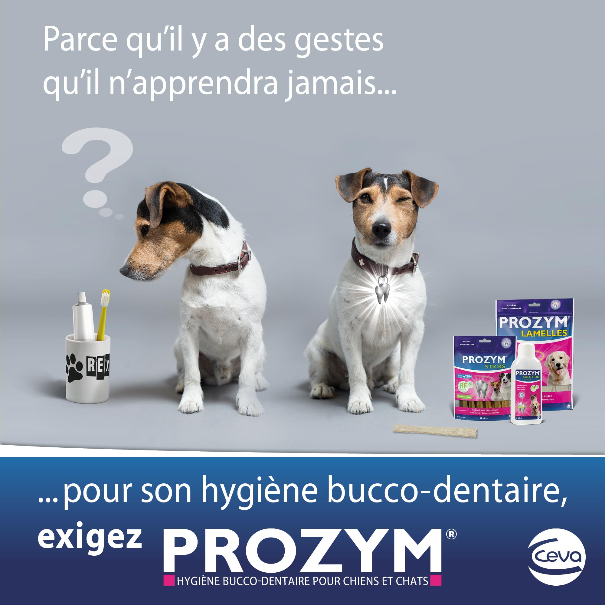 Prozym 15 Lamelles pour Chiens - Soin Dentaire à mâcher - N°1 chez Les vétérinaires - Haleine fraîche - Anti-tartre - Anti-Plaque - Gencives saines (L)